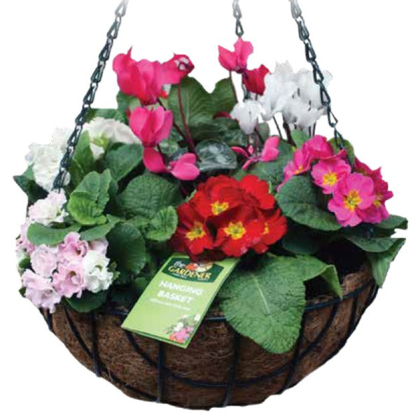 Wire Hanging Basket with Coco Liner - 35cm