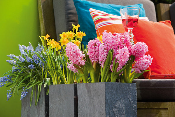 Bulbs Direct 25% off storewide... Check out how! – Bulbs Direct