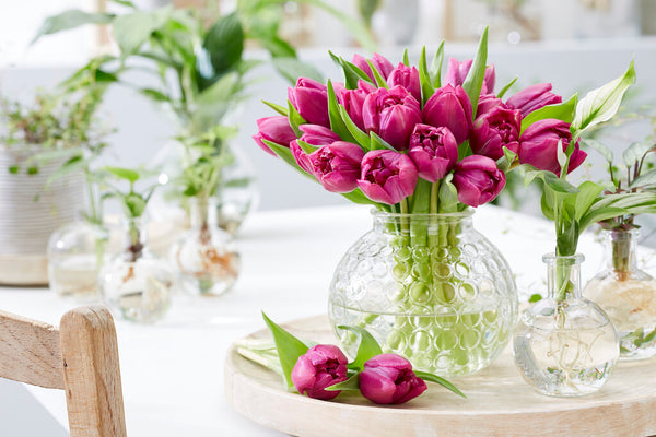 Bulbs Direct Back in Stock! – Bulbs Direct