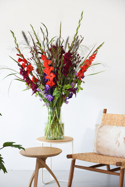 Red Balance Gladioli | Order Gladioli Bulbs online - Bulbs Direct NZ