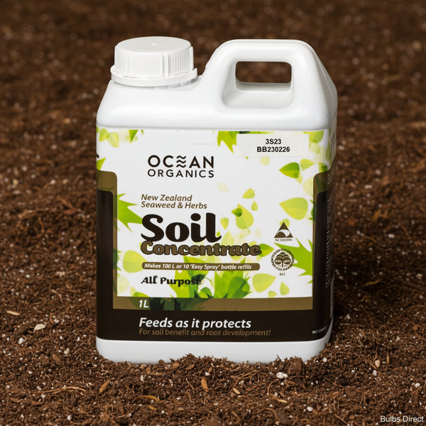 A white plastic bottle with a handle, labeled 'Ocean Organics Soil Concentrate', against a green and white leafy background.