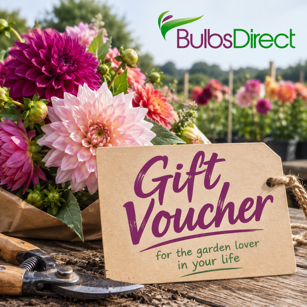 Gift Voucher
