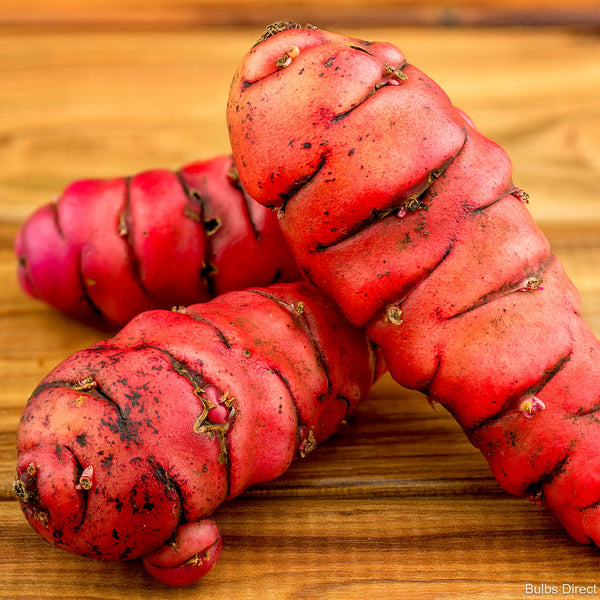 Red Yam