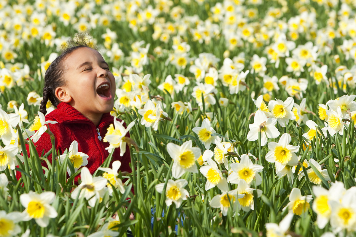 Bulbs Direct Bulbs Direct NZ | Quality NZ Flower Bulbs | Delivered Direct To You