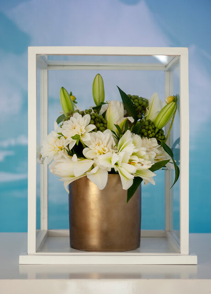 Snowboard Oriental Lily | Order Lily Bulbs online | Bulbs Direct NZ