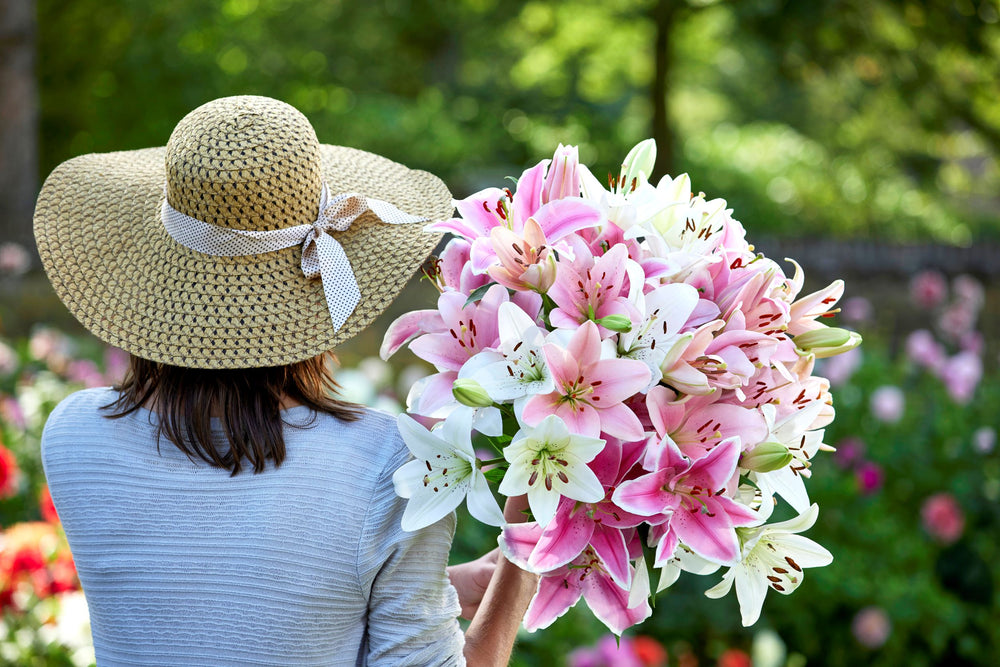 Bulbs Direct Bulbs Direct NZ | Quality NZ Flower Bulbs | Delivered Direct To You