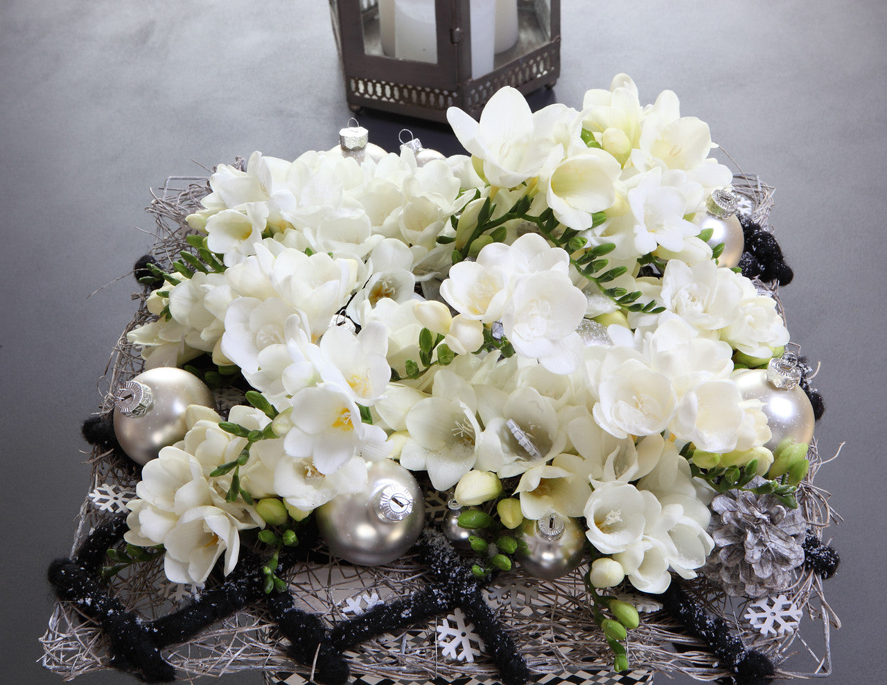 Montana Freesia Order Freesia Bulbs Online Bulbs Direct NZ