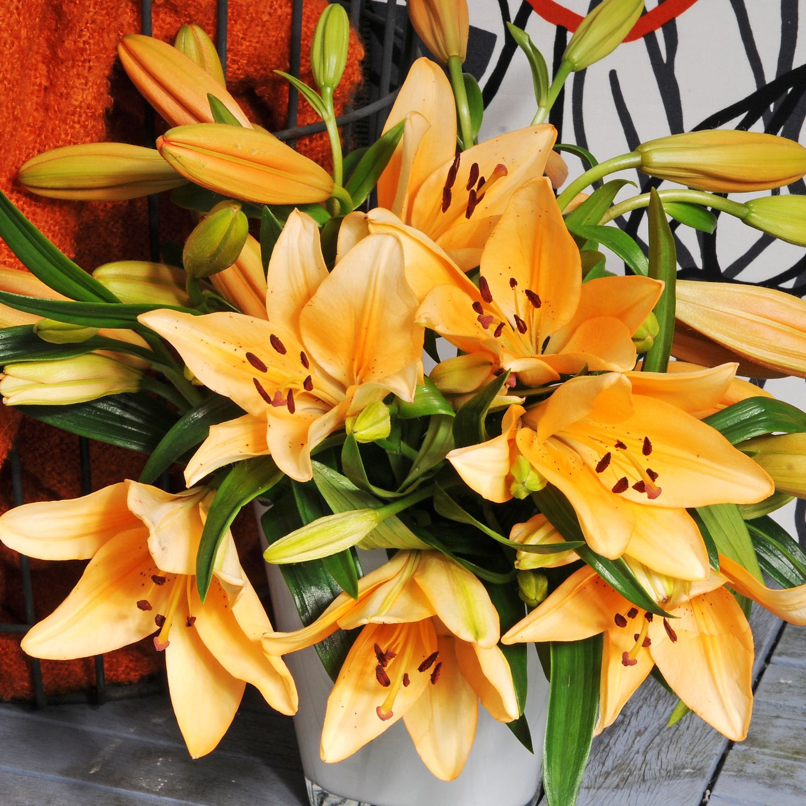 asiatic lily tiny bee Brunello Asiatic Lily | Order Lily Bulbs online