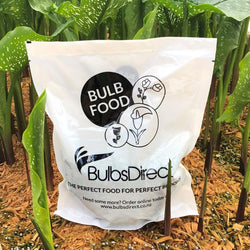 Bulb Food - Fertilizer 1kg or 2kg