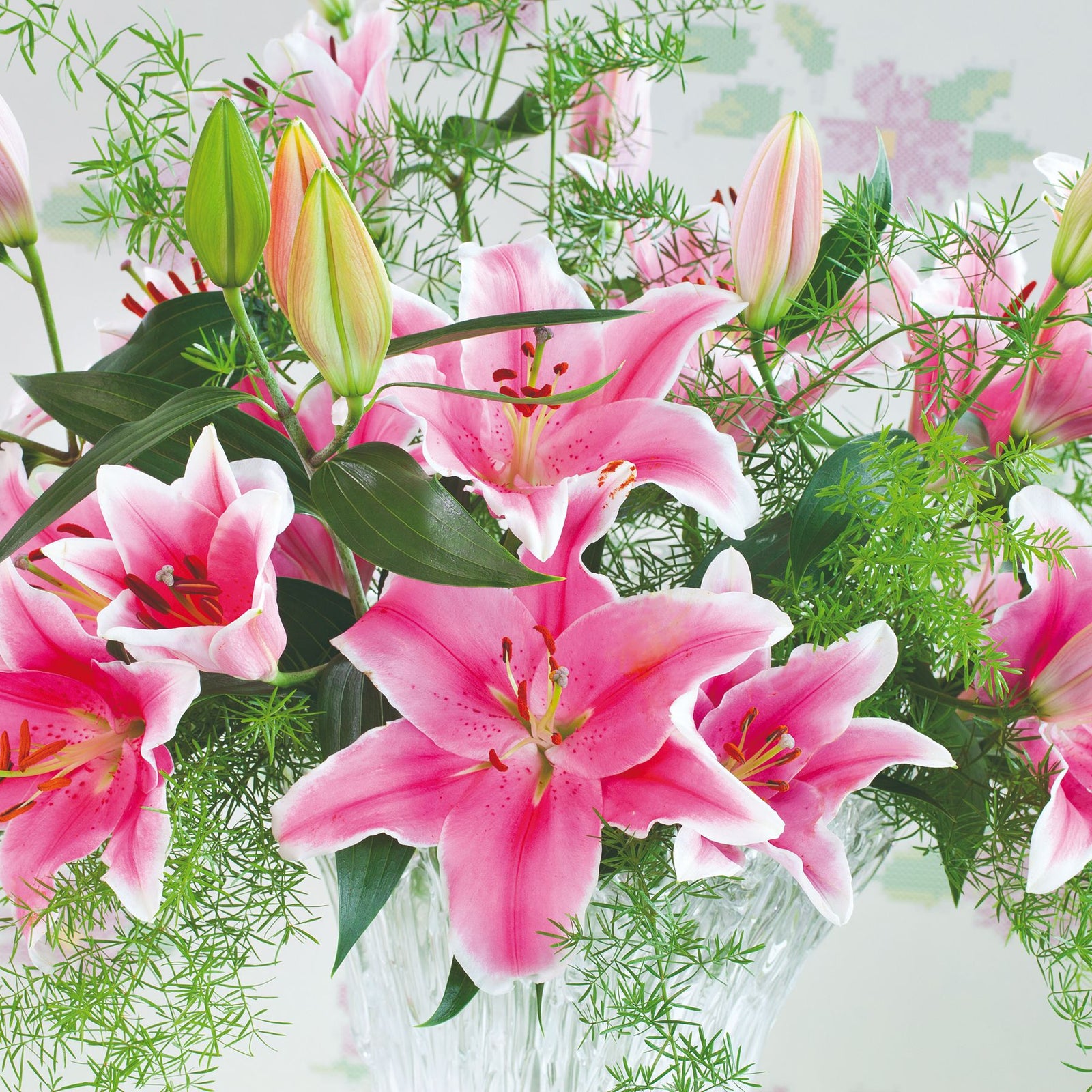 sorbonne lily flower Sorbonne Oriental Lilies | Buy Lily Bulbs online