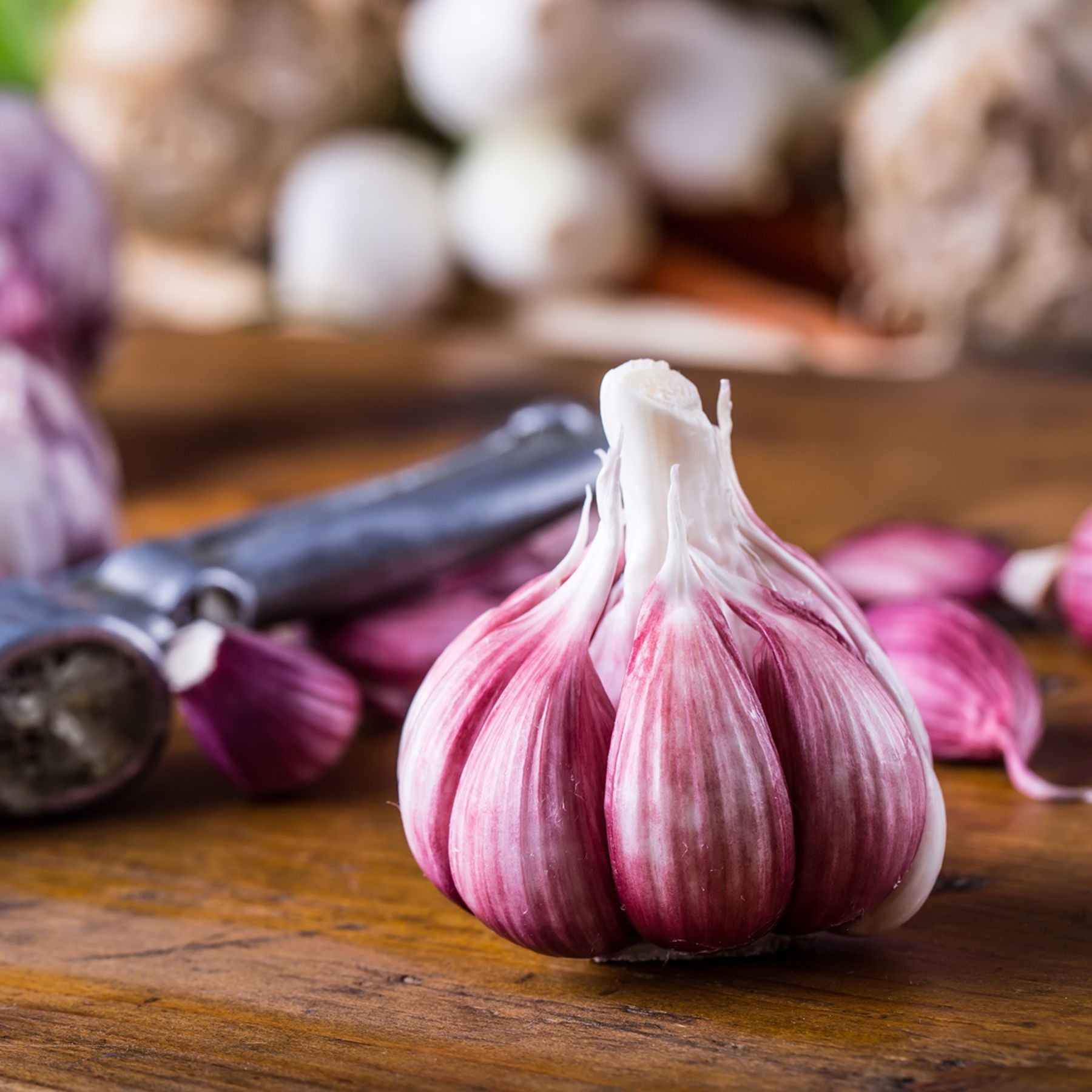 Turban Garlic | Order Seed Garlic Online | Bulbs Direct NZ