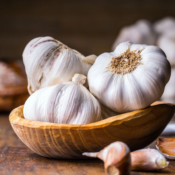 Printanor Garlic | Order Seed Garlic Online | Bulbs Direct NZ